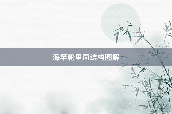 海竿轮里面结构图解
